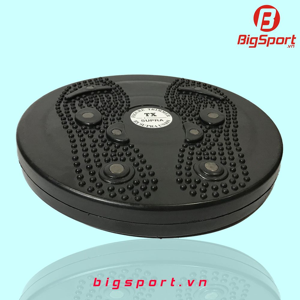 Đĩa xoay eo nhựa Thanh Xuân