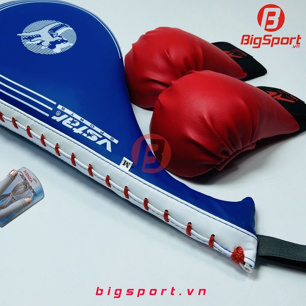 Tay đá đơn tập võ Vstar