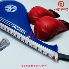 Tay đá đơn tập võ Vstar
