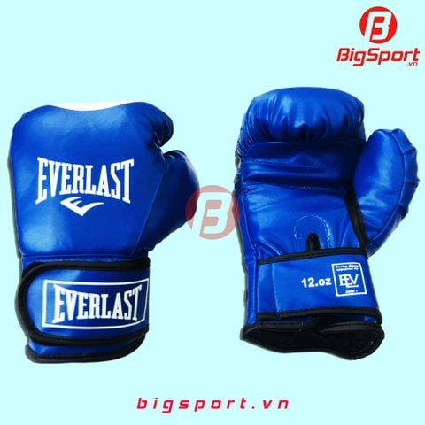 Găng Boxing size lớn màu xanh