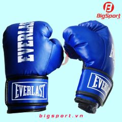 Găng Boxing size lớn màu xanh