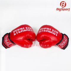 Găng tay boxing cở trung
