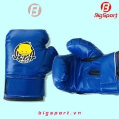 Găng đấm Boxing Vstar cở nhỏ màu xanh
