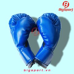 Găng đấm Boxing Vstar cở nhỏ màu xanh
