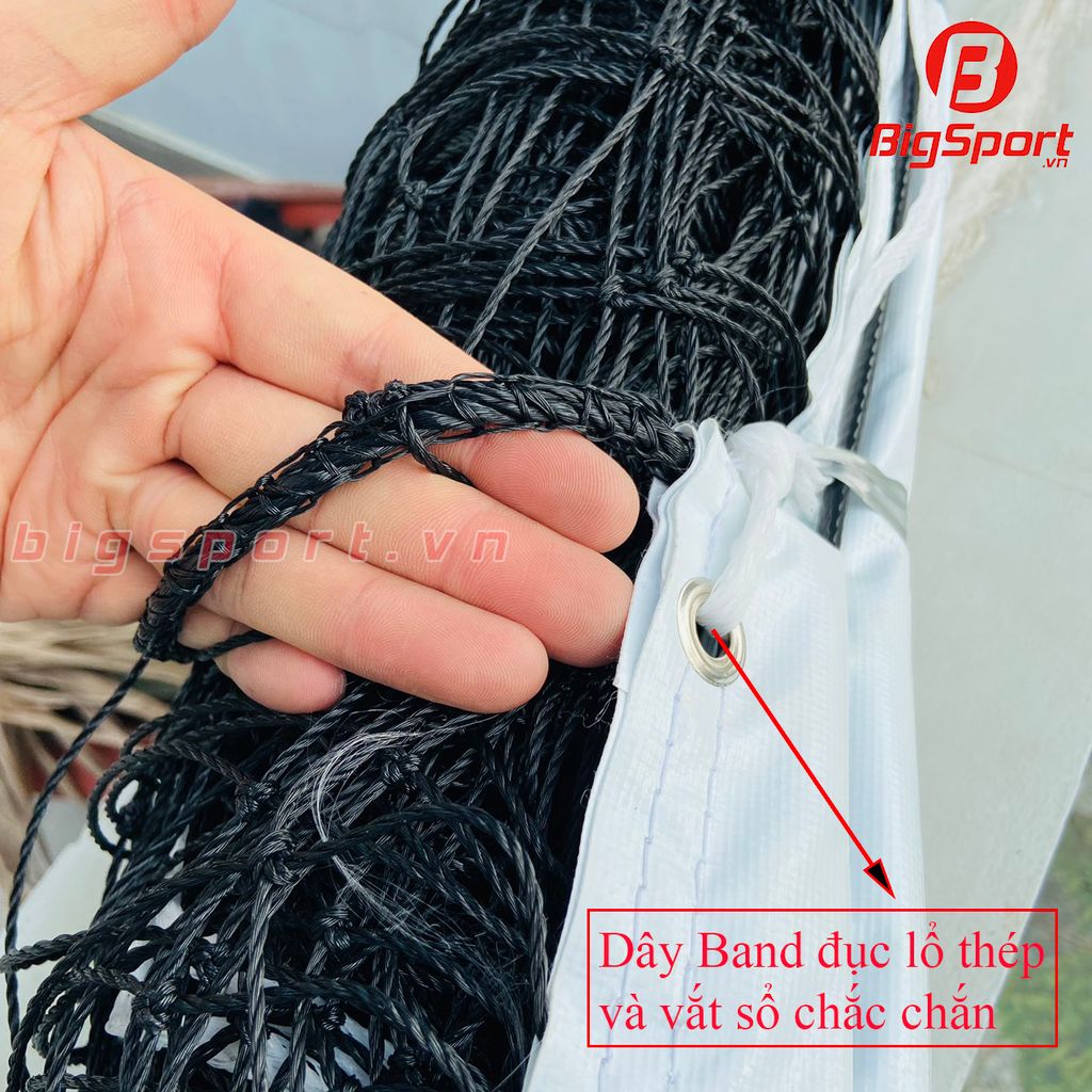 Lưới bóng chuyền thi đấu VifaSport 412010