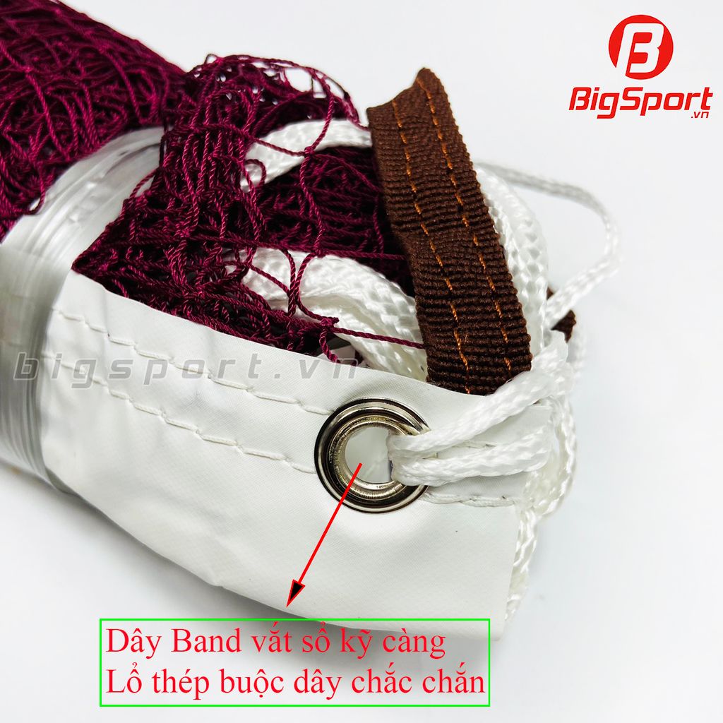 Lưới cầu lông VifaSport 501809