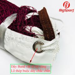 Lưới cầu lông VifaSport 501809