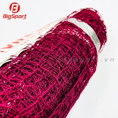 Lưới cầu lông VifaSport 501809