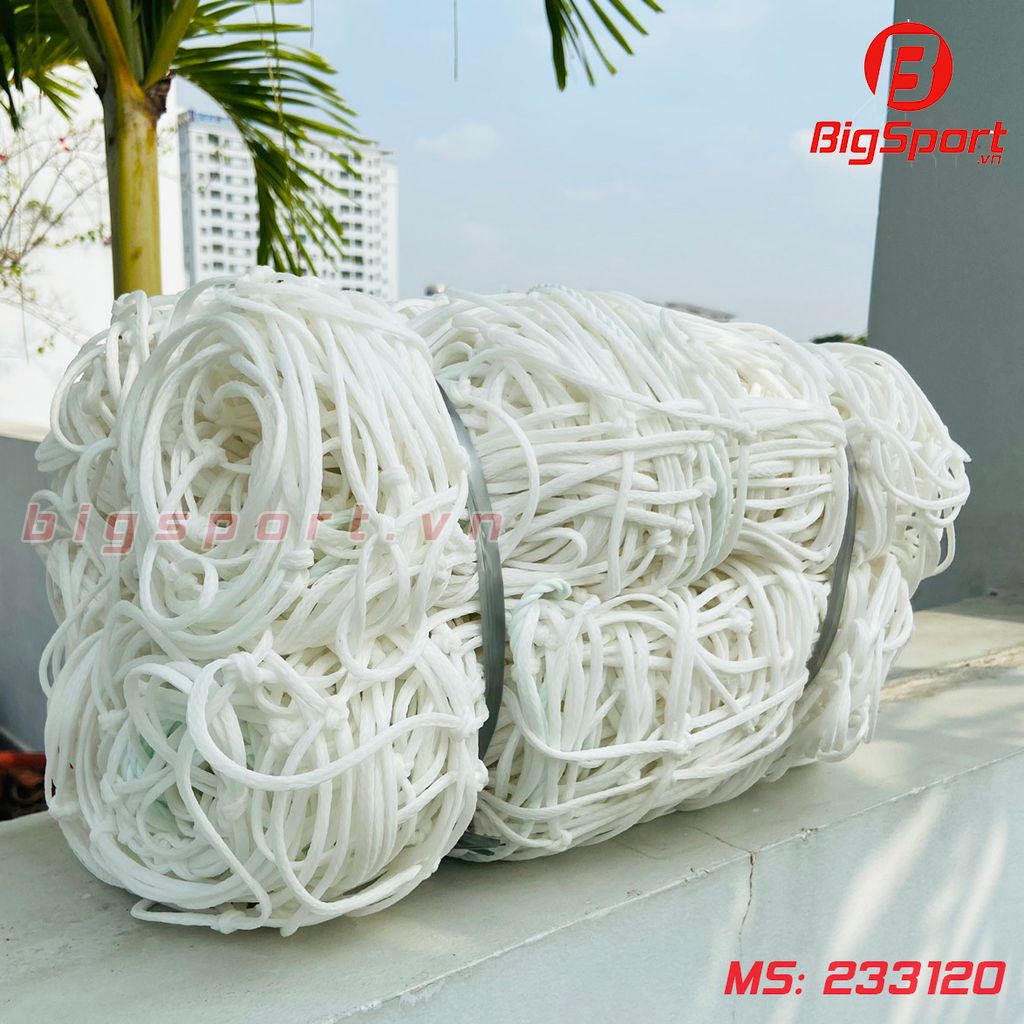 Lưới khung thành bóng đá sân 5 người VifaSport 233120