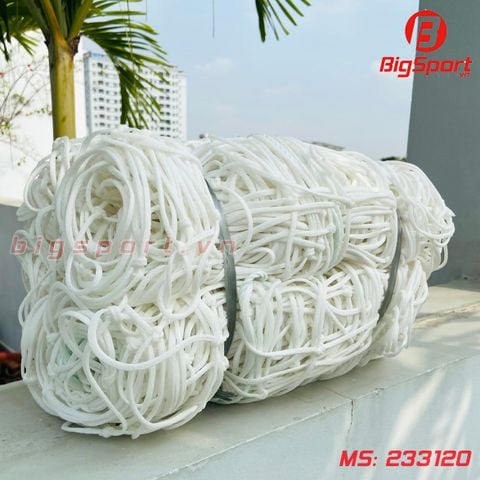 Lưới khung thành bóng đá sân 5 người VifaSport 233120