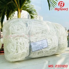 Lưới khung thành bóng đá sân 5 người VifaSport 233120