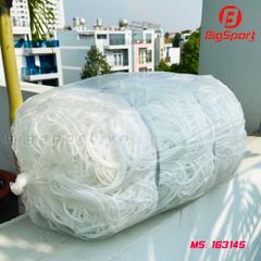 Lưới khung thành bóng đá sân 7 người 163145