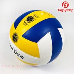 Quả bóng chuyền Động Lực DL200 chính hãng