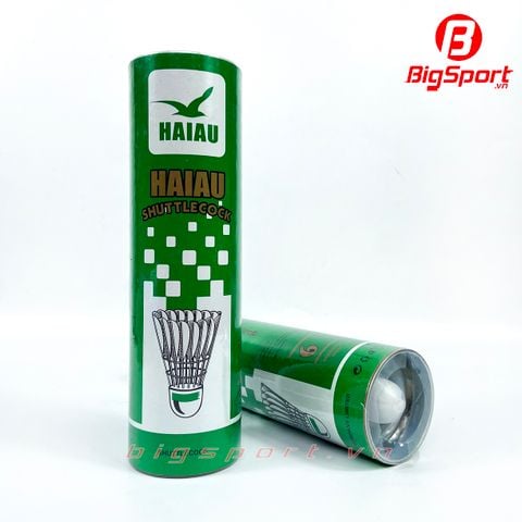 Quả cầu lông Hải Âu 6 quả hộp màu xanh
