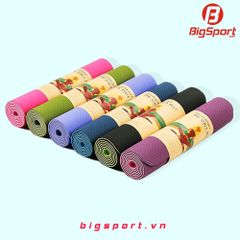 Thảm tập Yoga TPE Friendly 8mm 2 lớp
