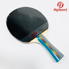 Vợt bóng bàn Winstar 1 sao