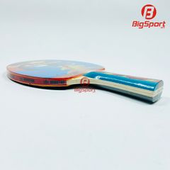 Vợt bóng bàn Winstar 1 sao