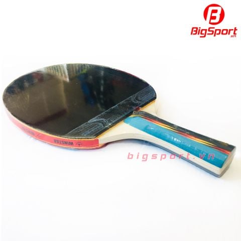 Vợt bóng bàn Winstar 2 sao