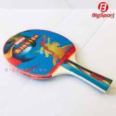 Vợt bóng bàn Winstar 2 sao
