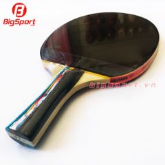 Vợt bóng bàn Winstar 2 sao