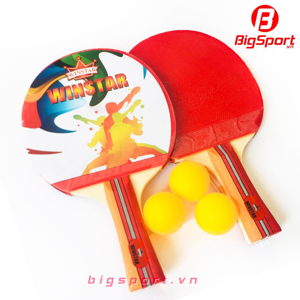 Vợt bóng bàn Winstar 8