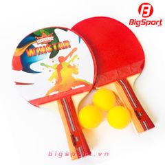 Vợt bóng bàn Winstar 8