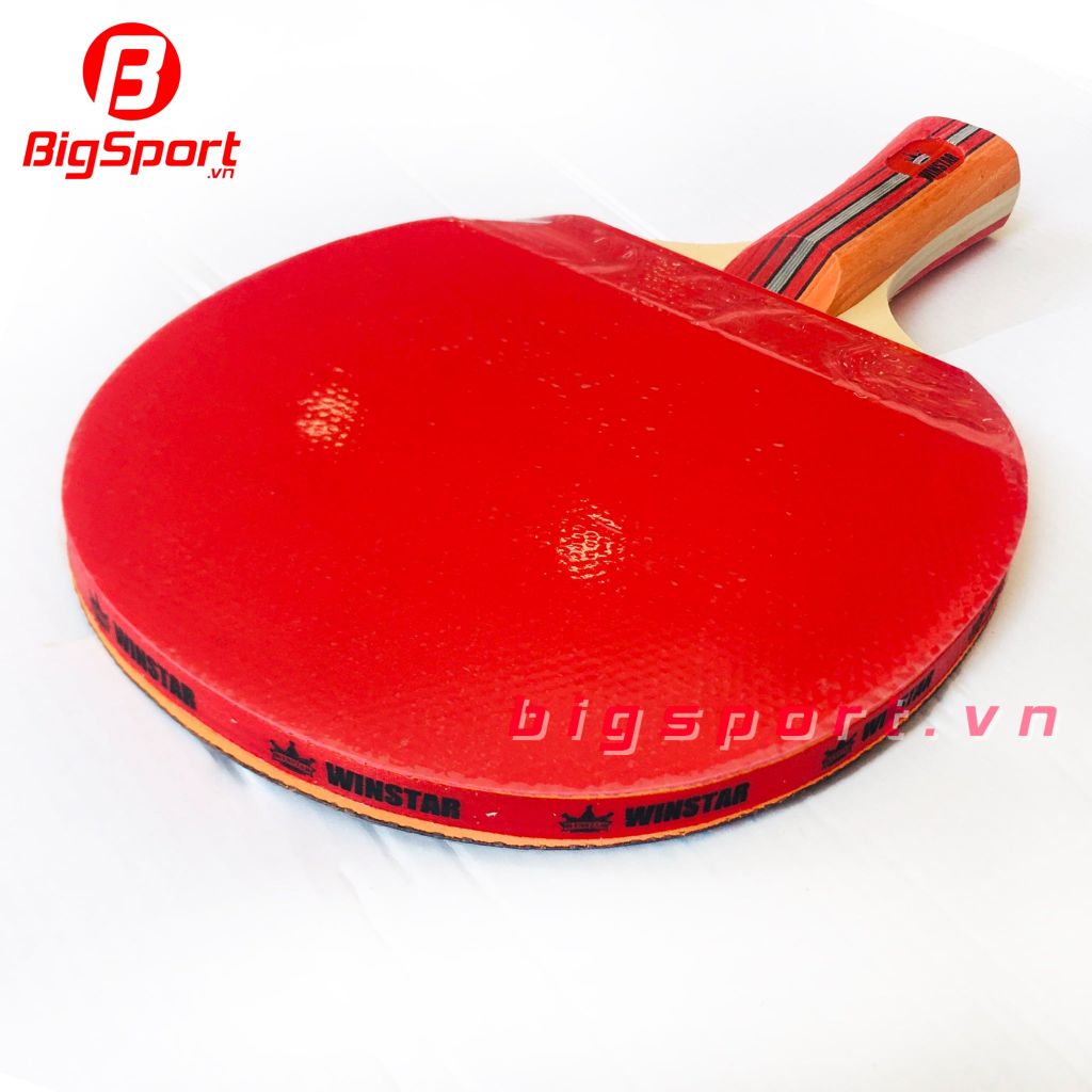 Vợt bóng bàn Winstar 8