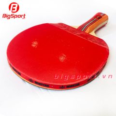 Vợt bóng bàn Winstar 8