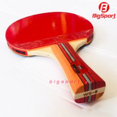 Vợt bóng bàn Winstar 8