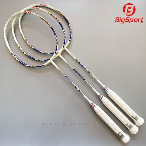 Vợt cầu lông VS PanLong