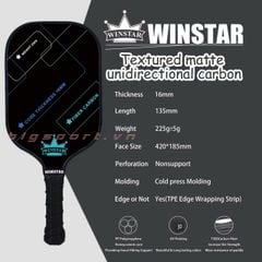 Vợt Pickleball Winstar T300-01