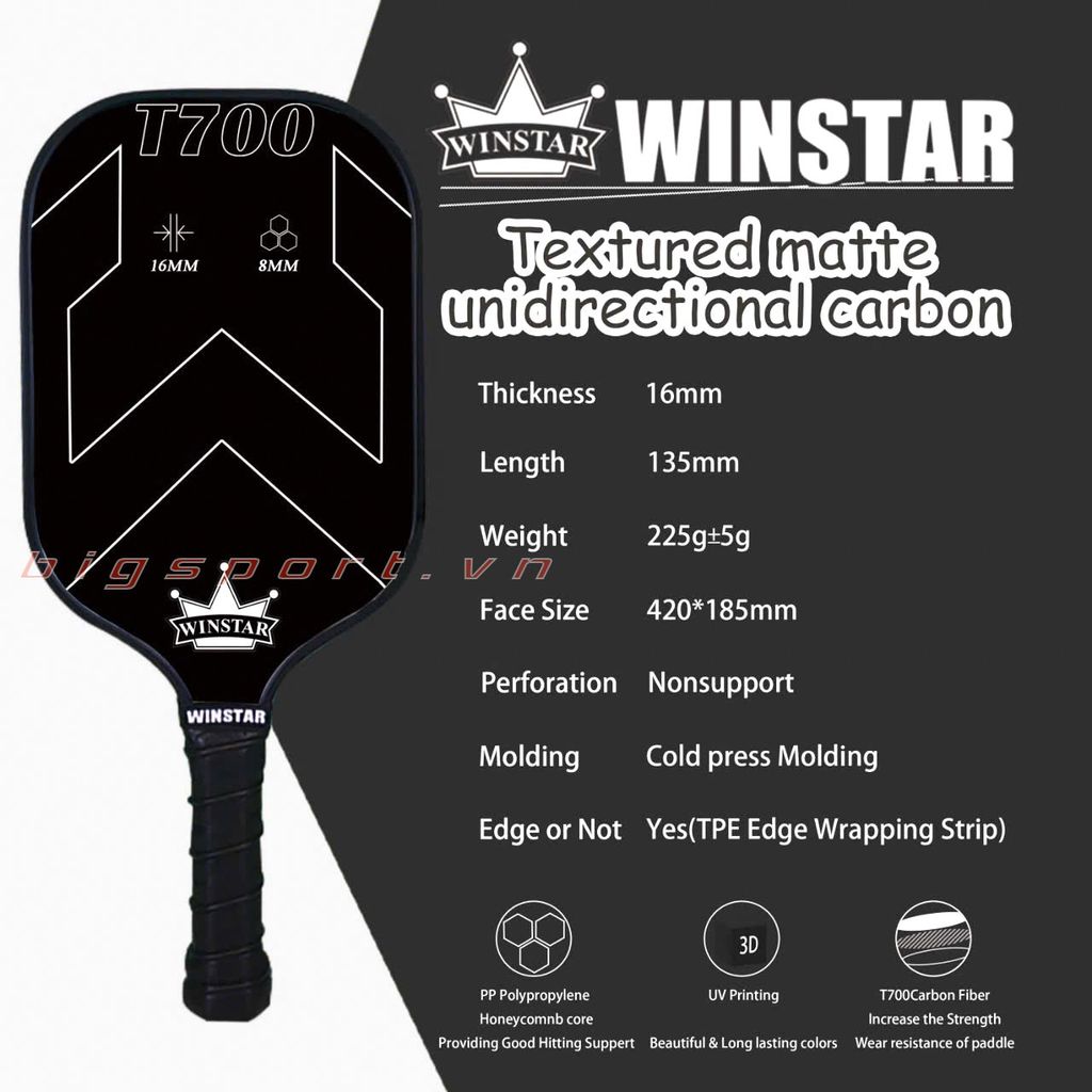 Vợt Pickleball Winstar T700-01