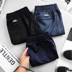 Quần short nam Egan 3