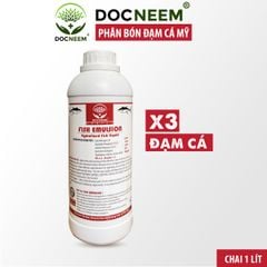 phan-huu-co-dam-ca-my