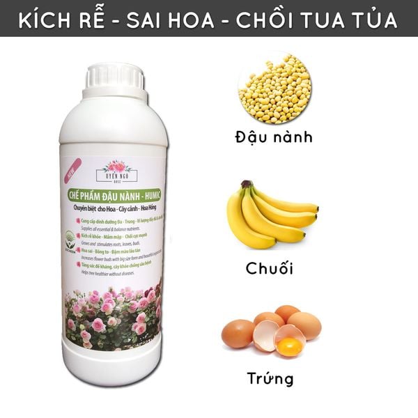 chiet-canh-hoa-hong-docneem