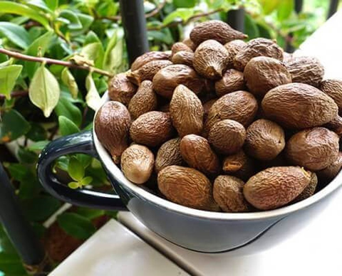 An nam tử, hạt ươi bay  Thảo dược giải khát tự nhiên với nhiều công dụng chữa bệnh hiệu quả