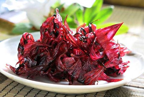 Cây Atiso đỏ (Cây bụp giấm ) Thảo Dược Qúy cho sức khỏe