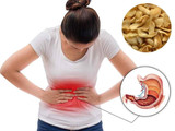 Bách Hợp: Vị Thuốc Dân Gian Cầm Ho, Thanh Tâm An Thần
