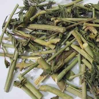 Cây bìm bịp , cây xương khỉ cây thuốc quý hỗ trợ điều trị Ung thư Số 1