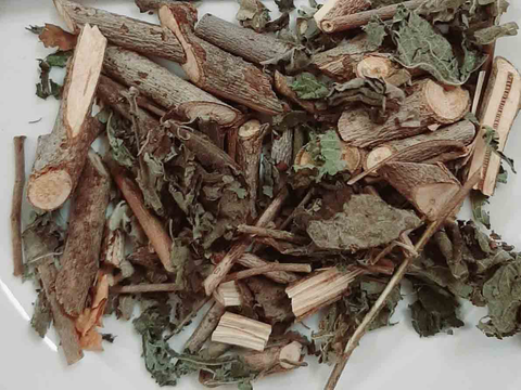 Cây An Xoa: Dược liệu quý hỗ trợ điều trị các bệnh về gan hiệu quả