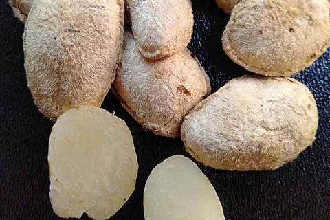 Công Dụng Của Hạt Sang Trong Việc Chữa Đau Dạ Dày