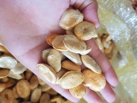 Hạt Sang Chữa Đau Dạ Dày bài thuốc quý người vùng cao