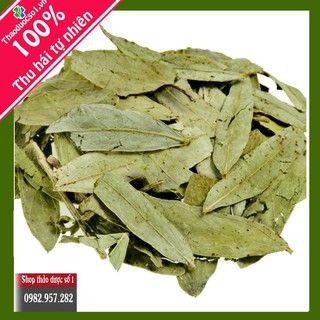 Phan tả diệp vị thuốc quý lọc máu, tẩy độc gan , chữa táo bón