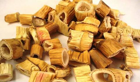 Lô Căn – Thảo Dược Thanh Nhiệt, Giải Khát Dân Dã