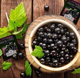 TRÀ AHMAD 20 TÚI LỌC TRÀ ĐEN VỊ PHÚC BỒN TỬ BLACKCURRANT BURST 40G