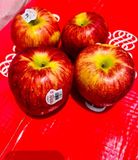 Táo Envy New Zealand size 30 35