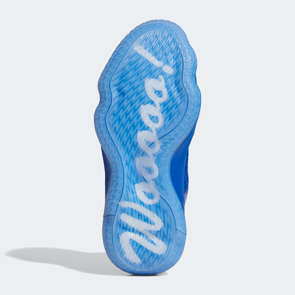 Dame ric flair shoes Clearance