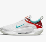 Giày Tennis Nike Court Zoom NXT 'White Washed Teal' DH0219-136
