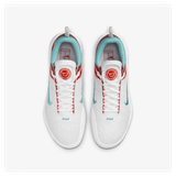 Giày Tennis Nike Court Zoom NXT 'White Washed Teal' DH0219-136