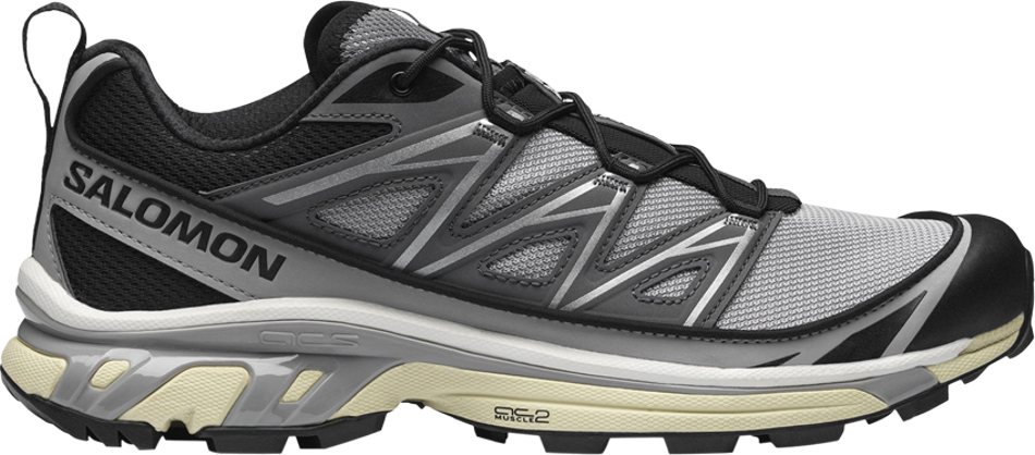 Giày Salomon XT-6 Expanse 'Alloy Quiet Shade' L41672200